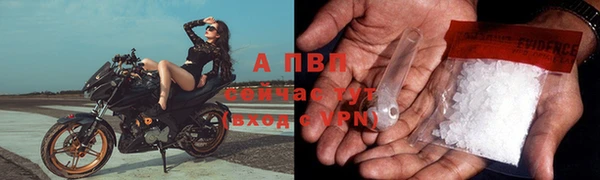 гашиш Касимов