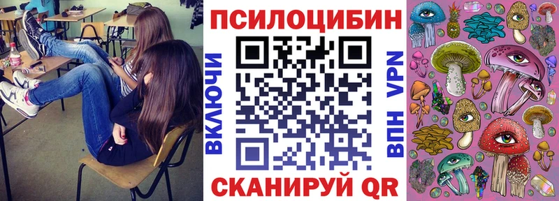 Псилоцибиновые грибы Cubensis  Купить закладки  Моздок 